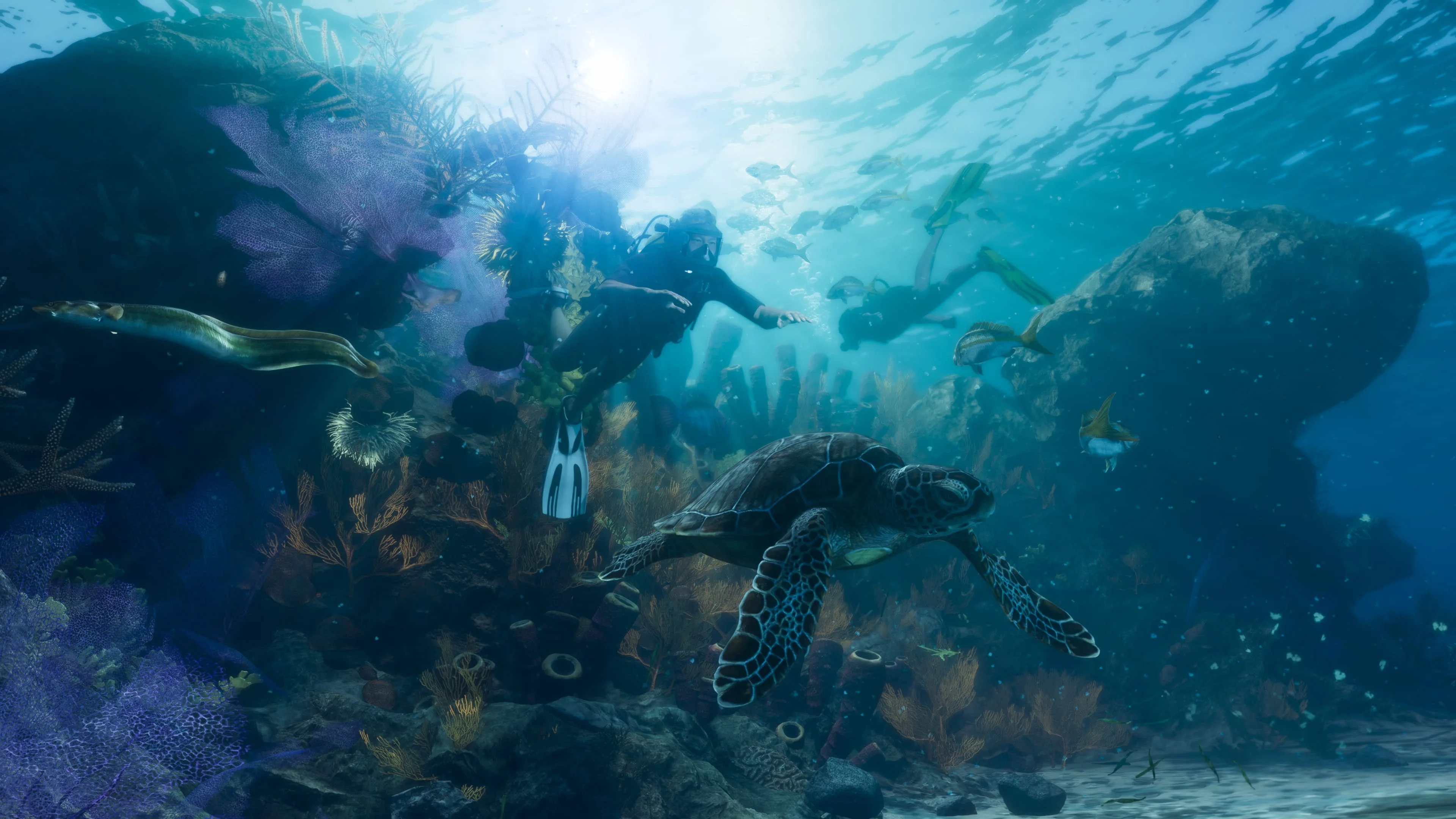 Reef Dive