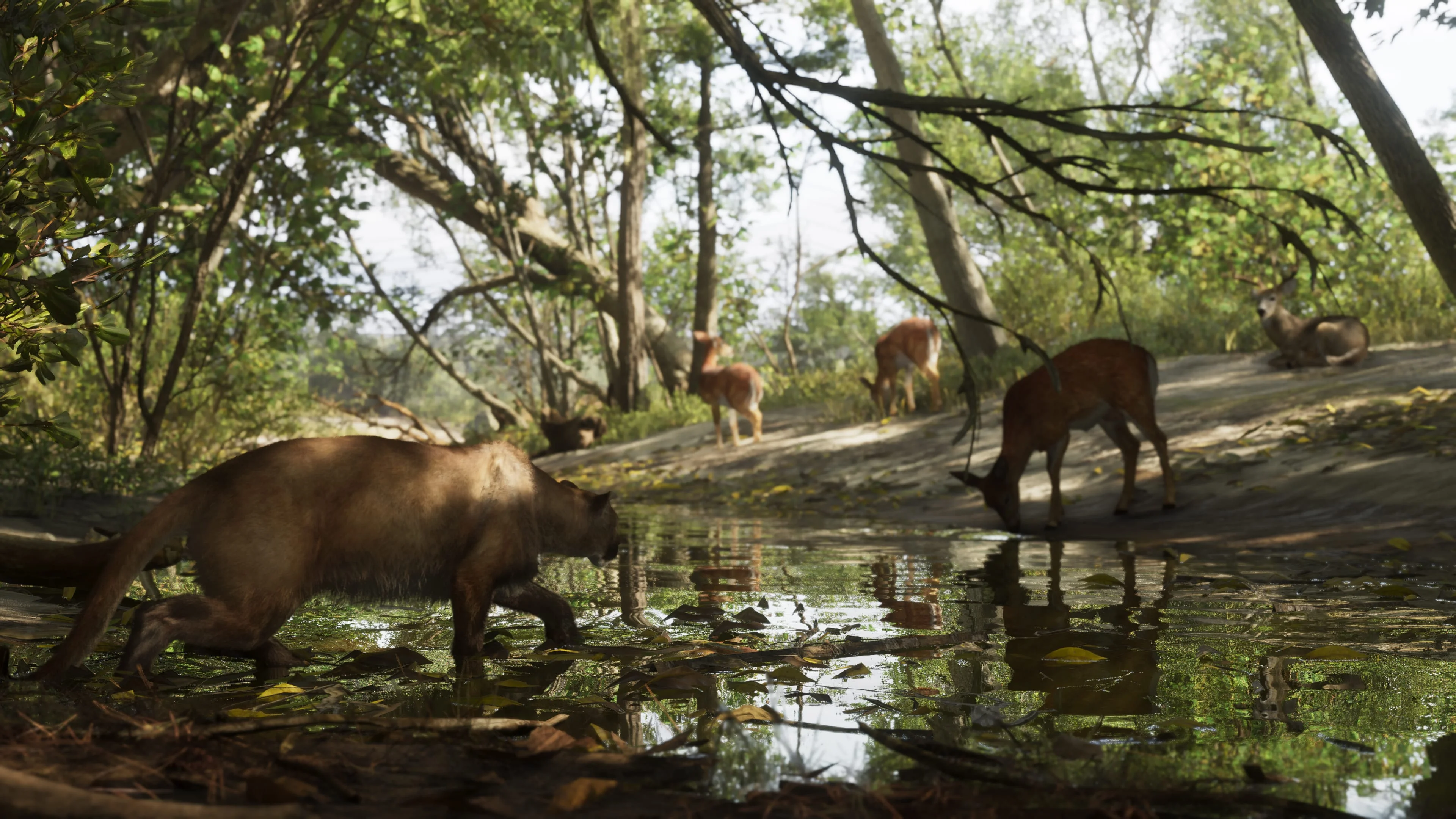 The Waterhole